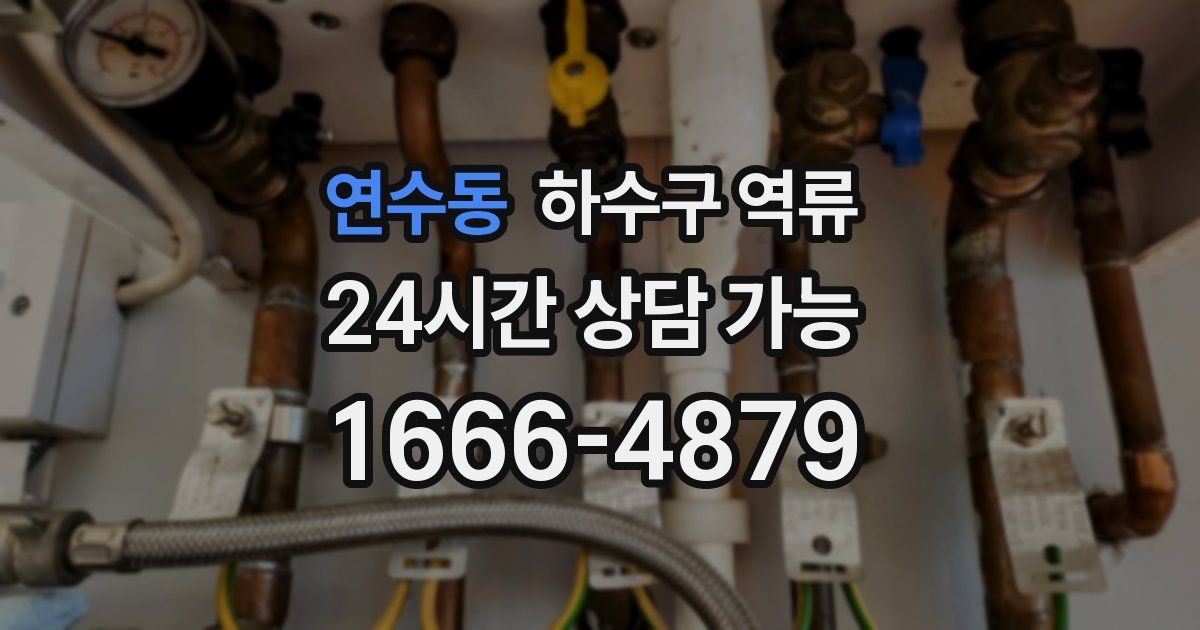 연수동 하수구 역류