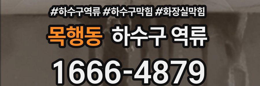 목행동 하수구 역류