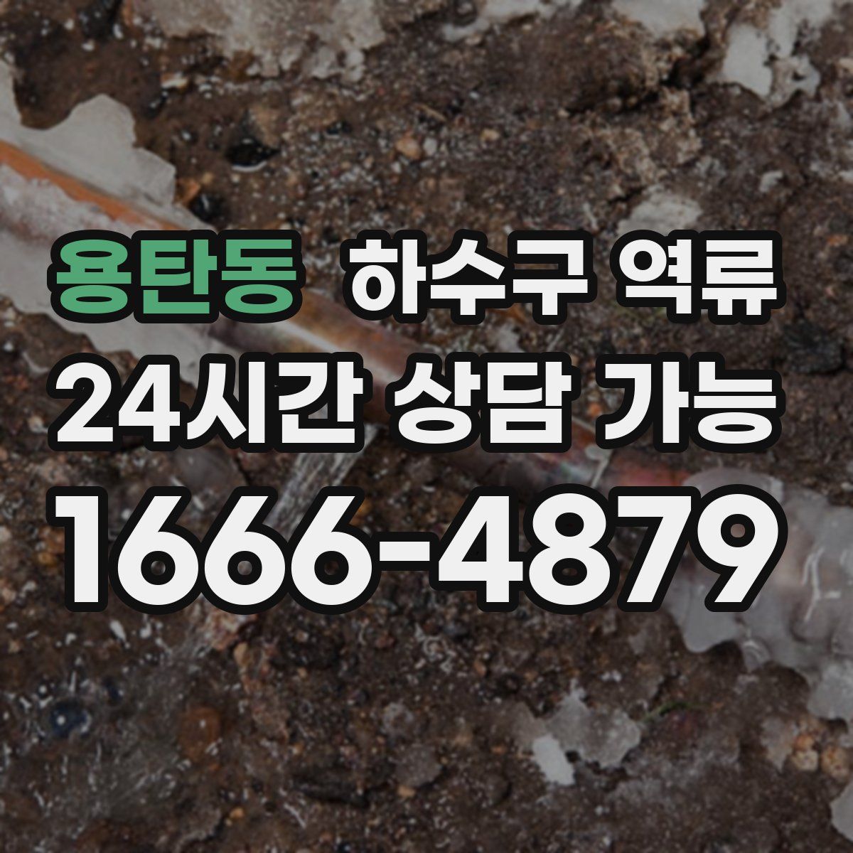 용탄동 하수구 역류