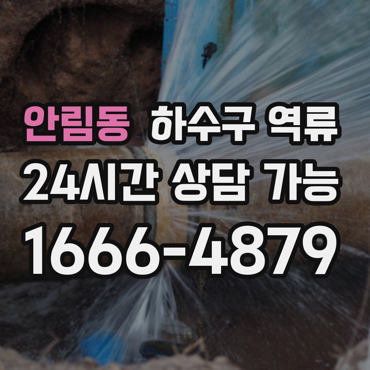 안림동 하수구 역류