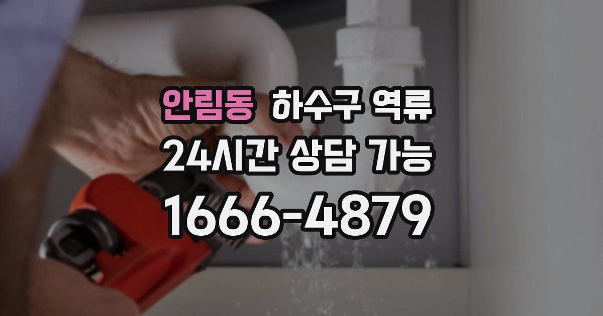 안림동 하수구 역류