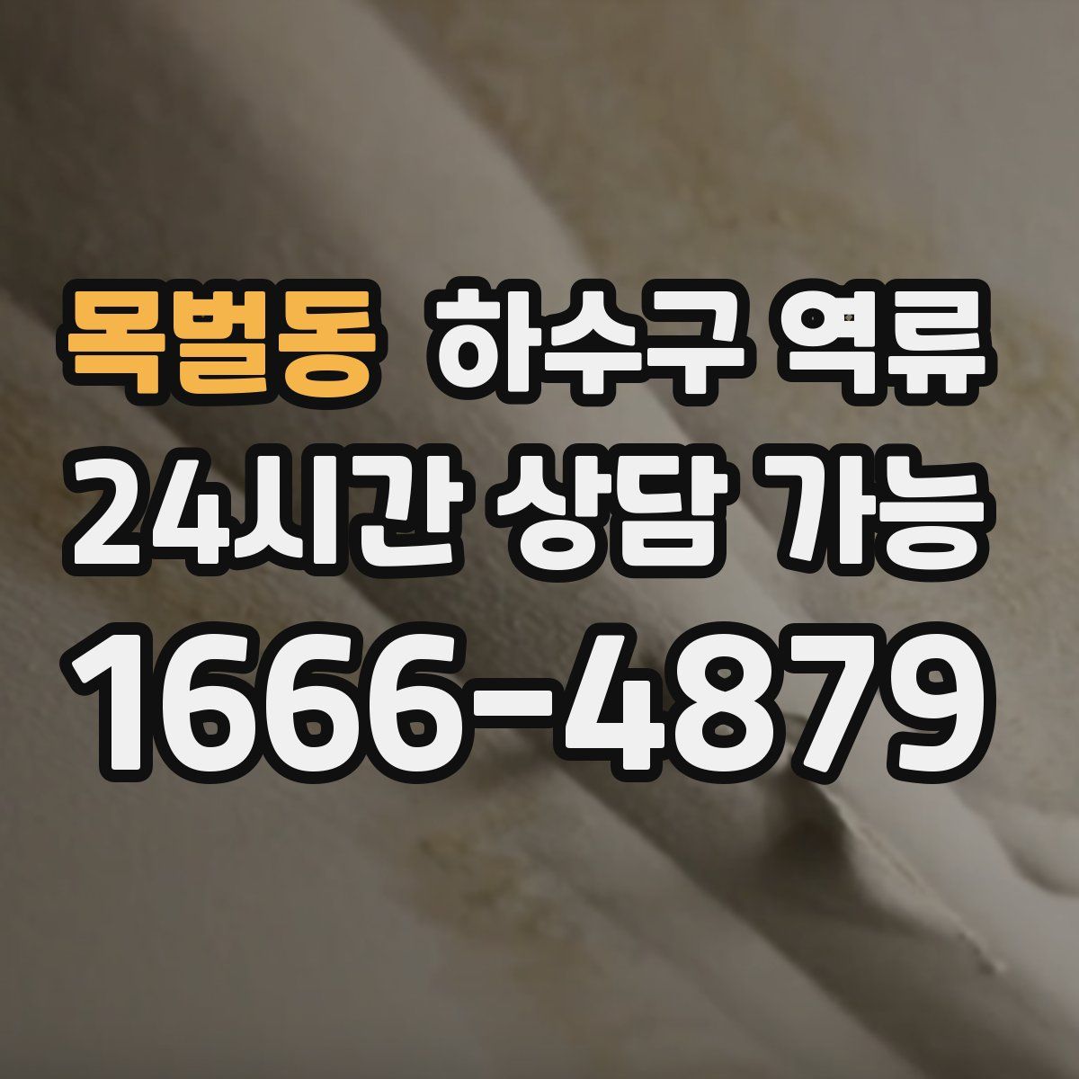 목벌동 하수구 역류