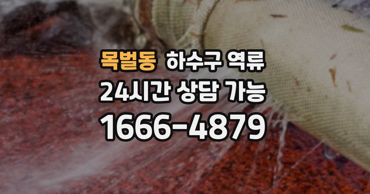 목벌동 하수구 역류