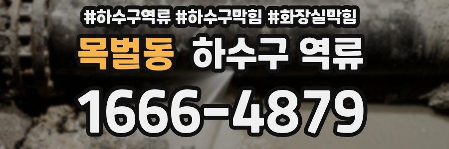 목벌동 하수구 역류