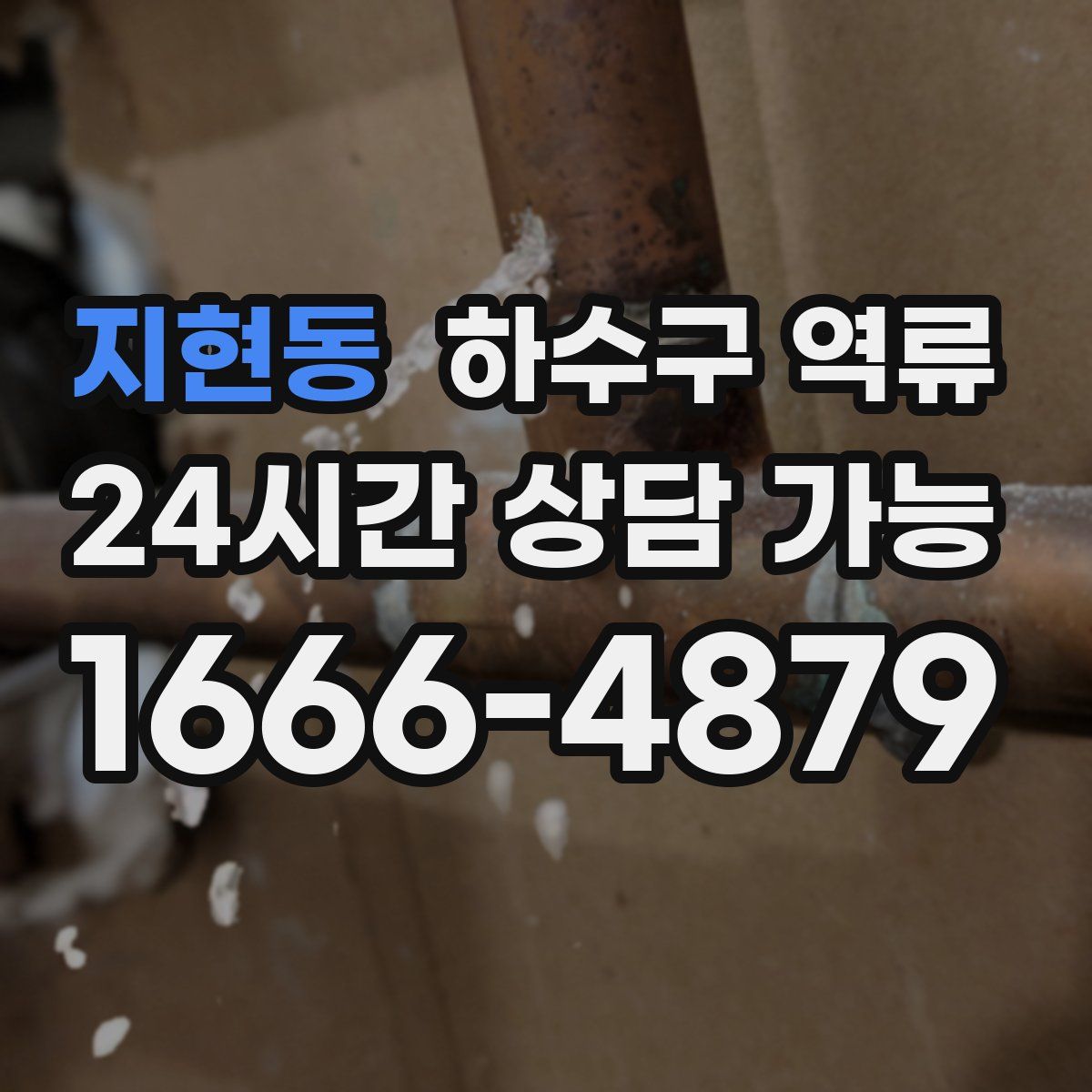 지현동 하수구 역류