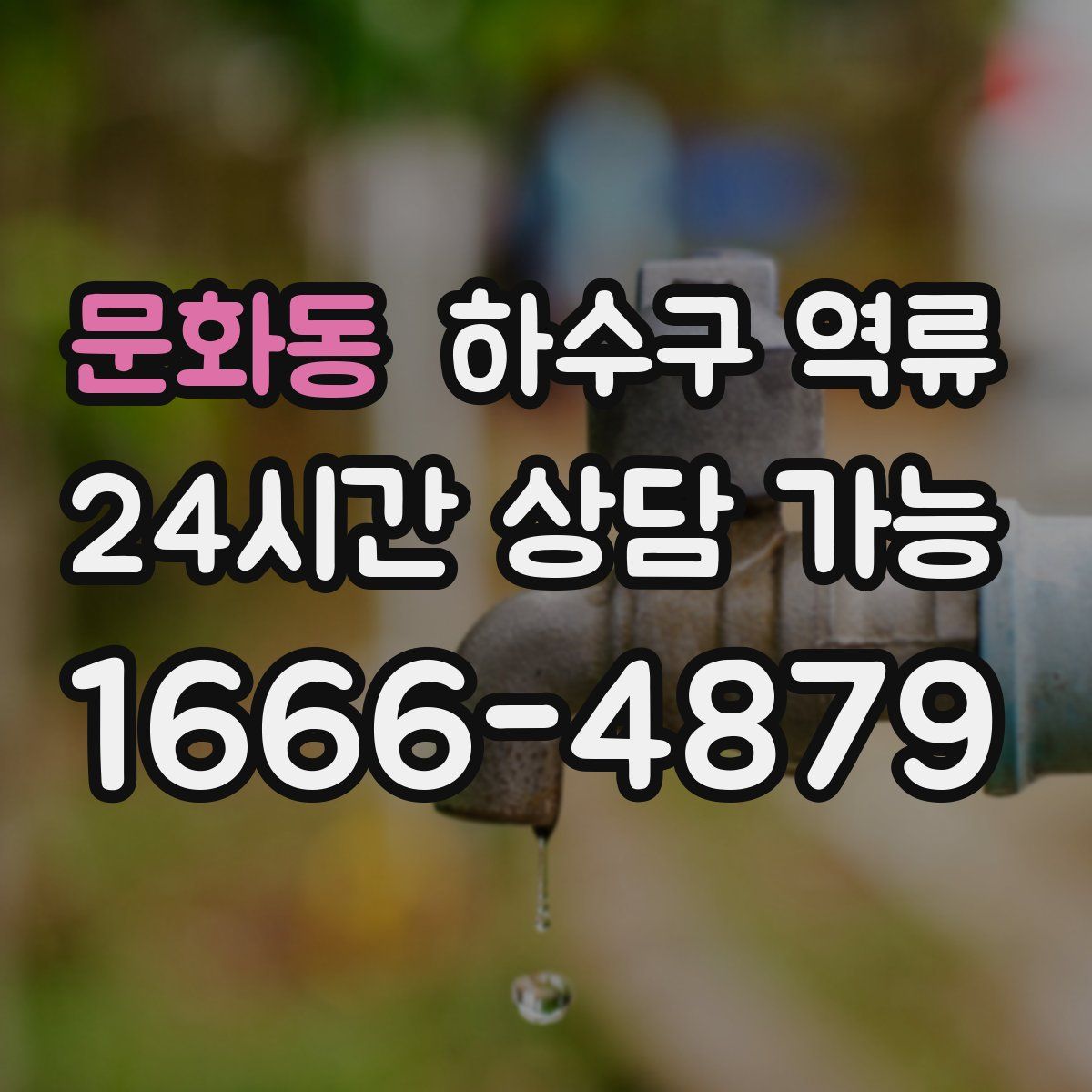 문화동 하수구 역류