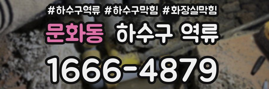 문화동 하수구 역류