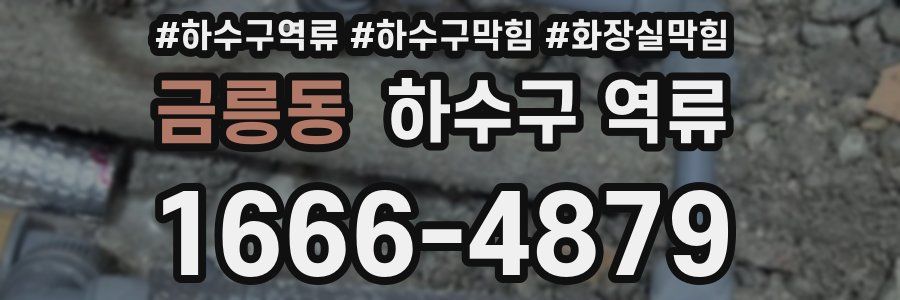 금릉동 하수구 역류