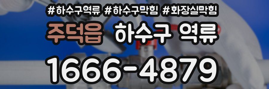주덕읍 하수구 역류