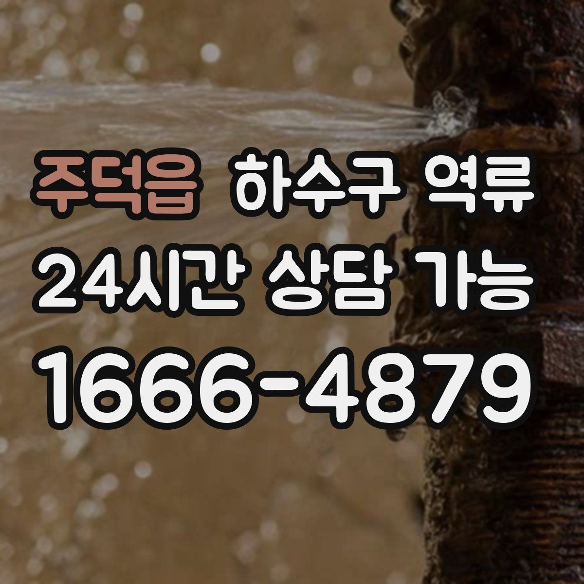 주덕읍 하수구 역류