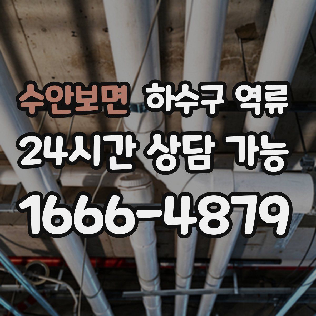 수안보면 하수구 역류