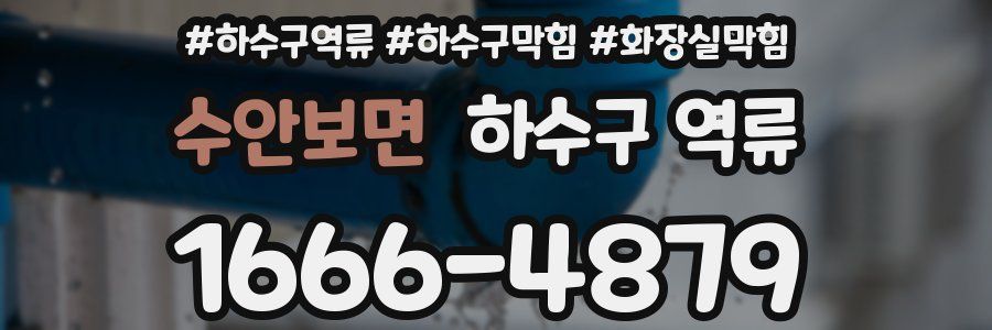 수안보면 하수구 역류