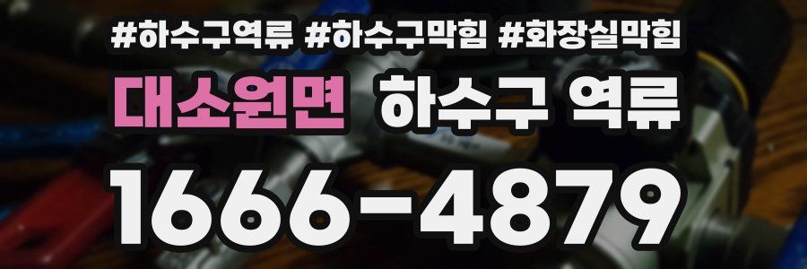 대소원면 하수구 역류