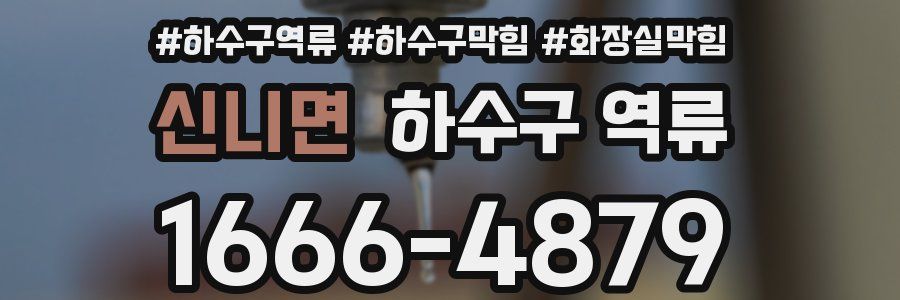 신니면 하수구 역류