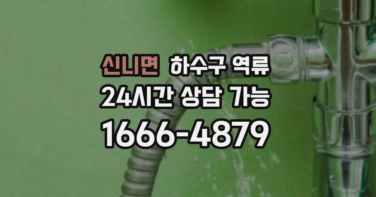 신니면 하수구 역류