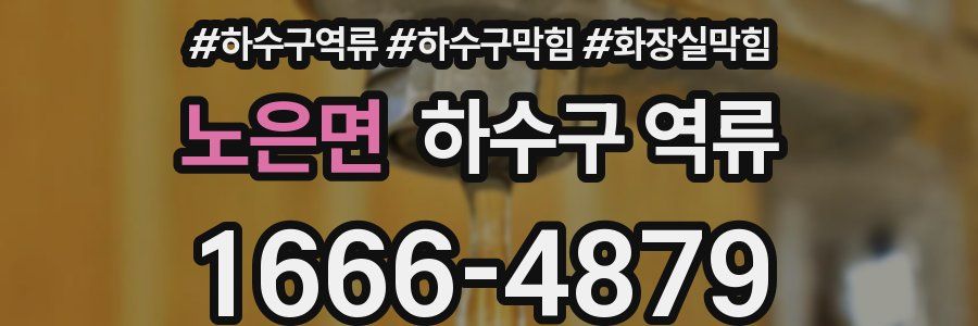 노은면 하수구 역류