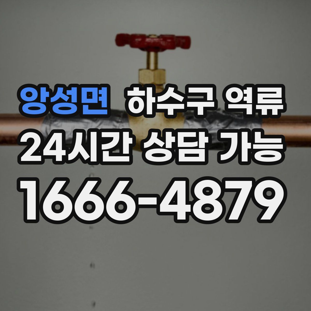 앙성면 하수구 역류