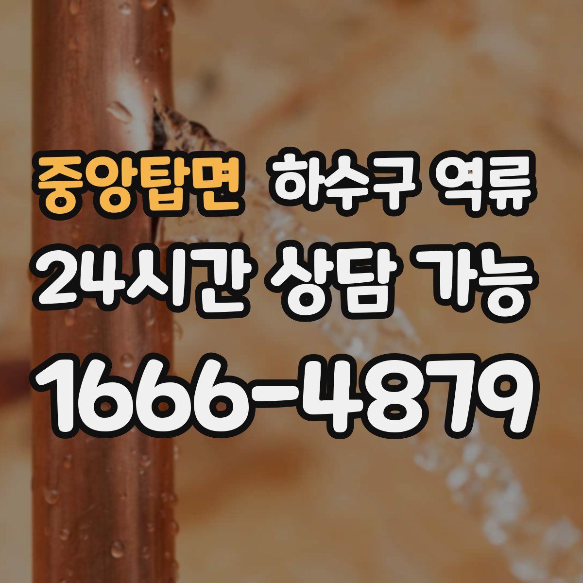 중앙탑면 하수구 역류