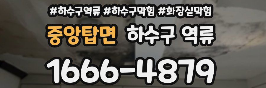 중앙탑면 하수구 역류