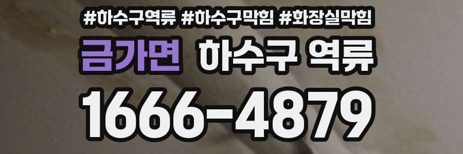 금가면 하수구 역류