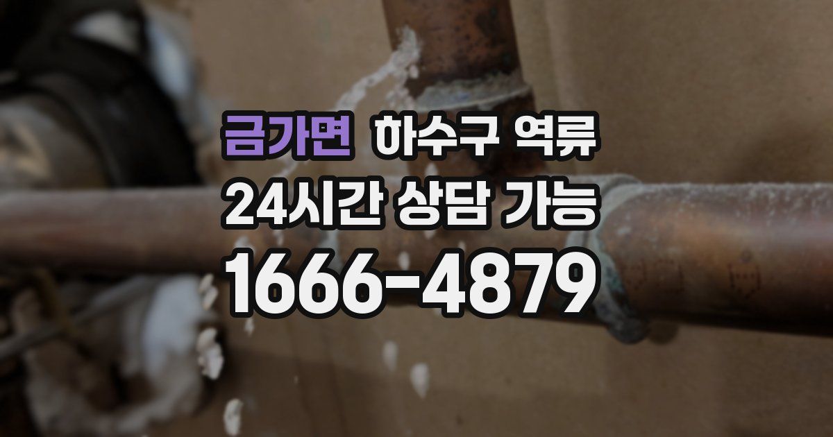 금가면 하수구 역류