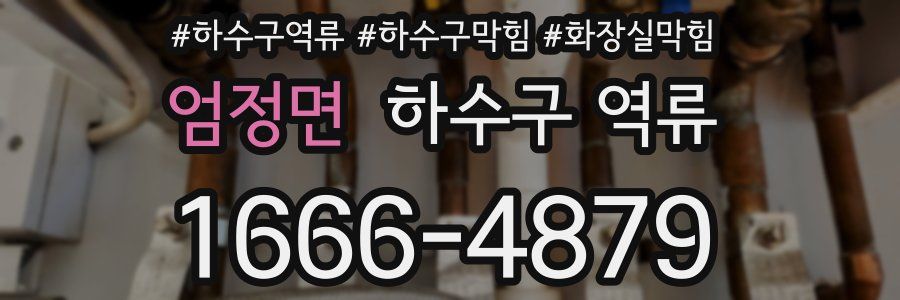 엄정면 하수구 역류