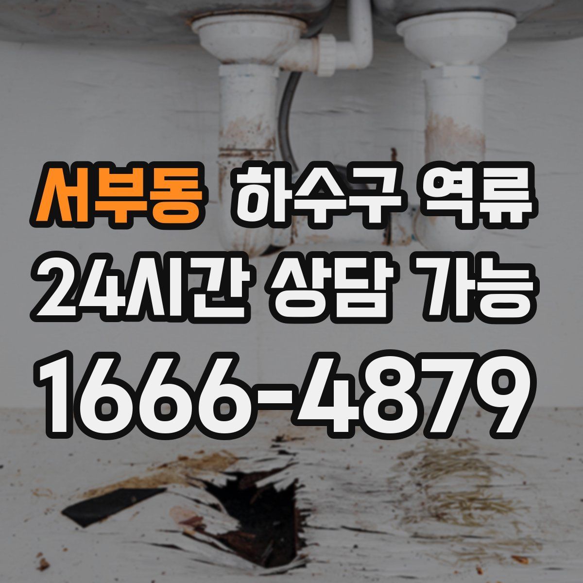 서부동 하수구 역류