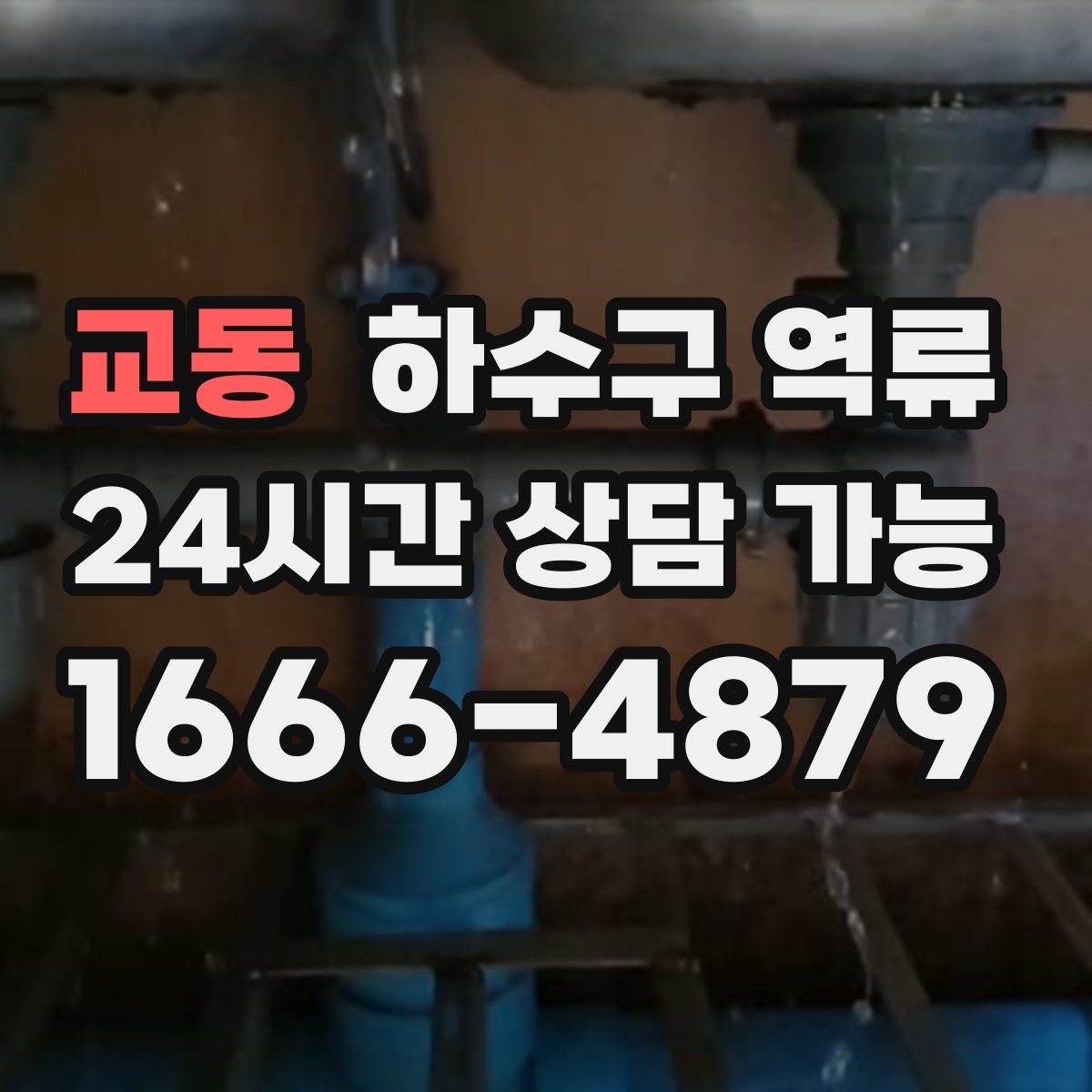 교동 하수구 역류