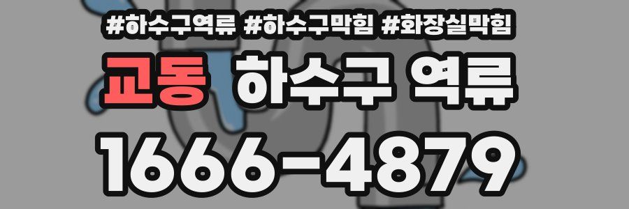 교동 하수구 역류