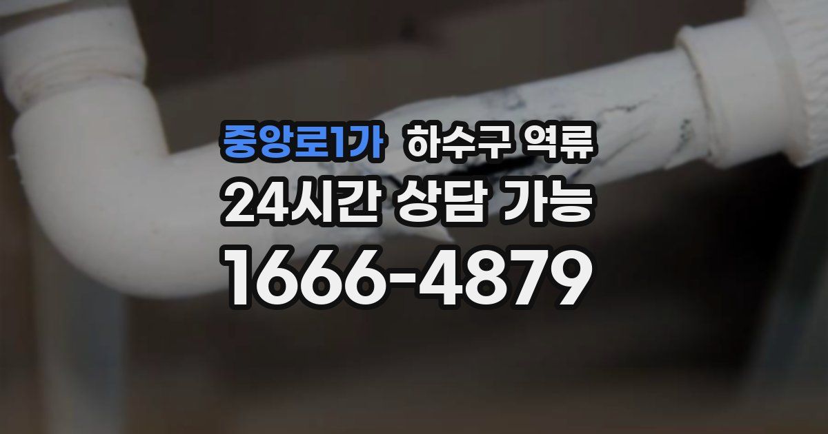 중앙로1가 하수구 역류