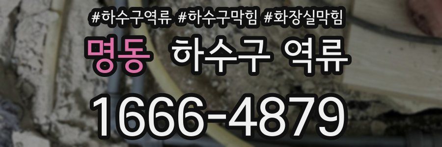 명동 하수구 역류