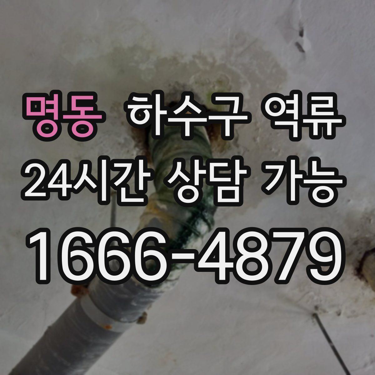 명동 하수구 역류