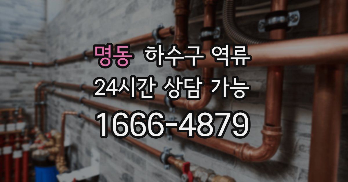 명동 하수구 역류