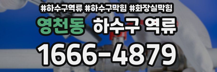 영천동 하수구 역류