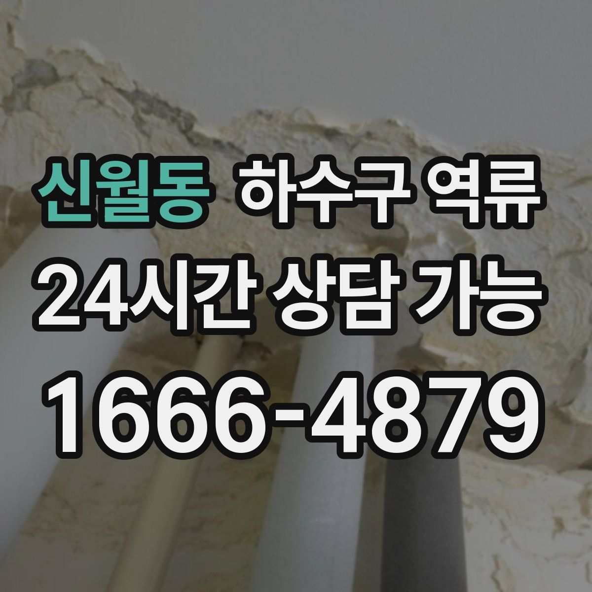 신월동 하수구 역류