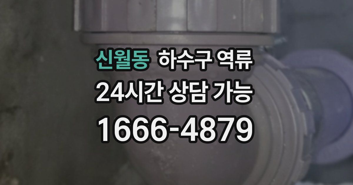 신월동 하수구 역류