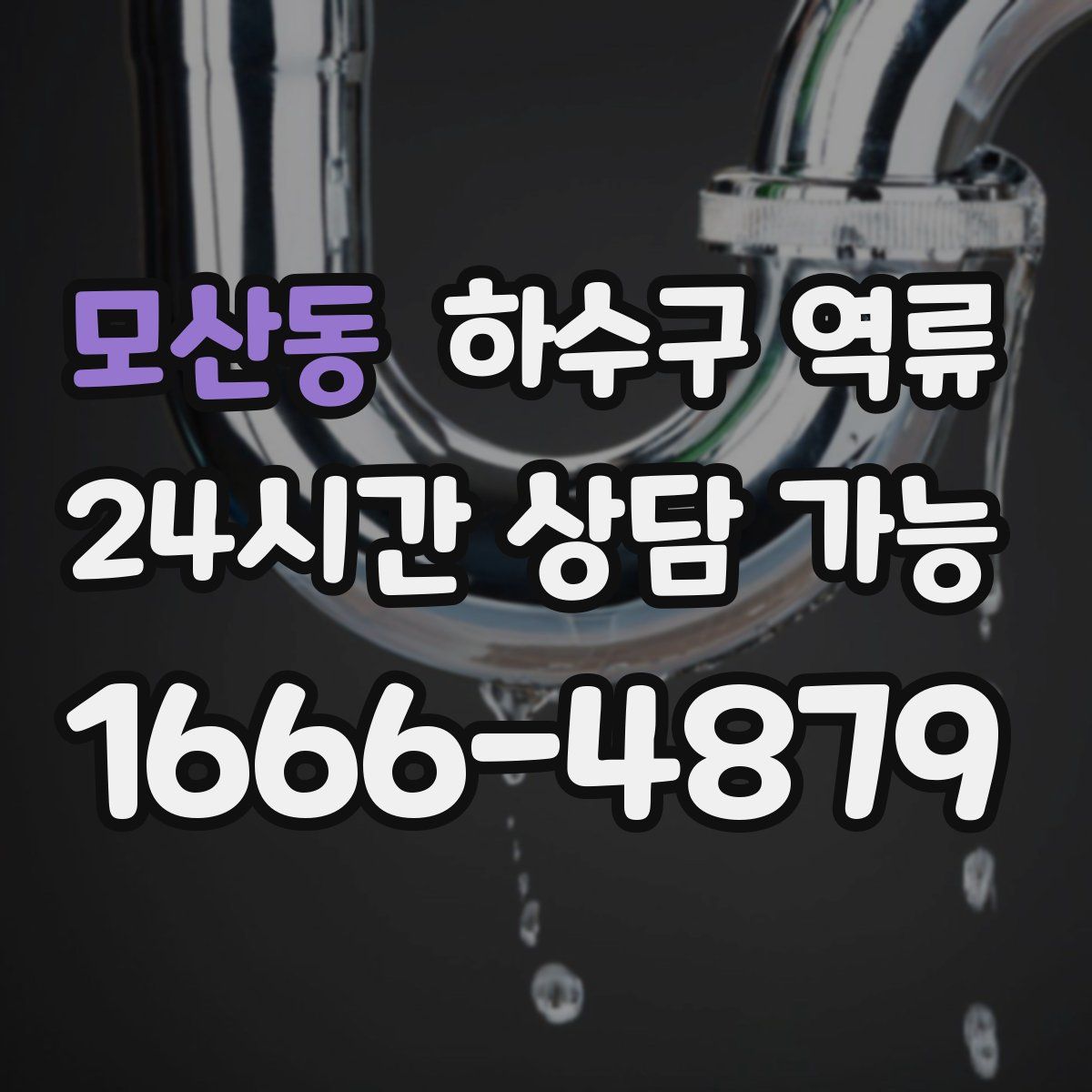 모산동 하수구 역류