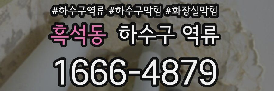 흑석동 하수구 역류