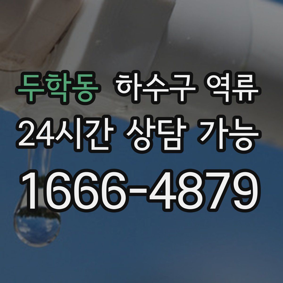 두학동 하수구 역류