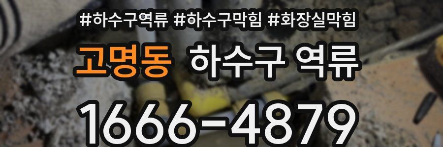 고명동 하수구 역류