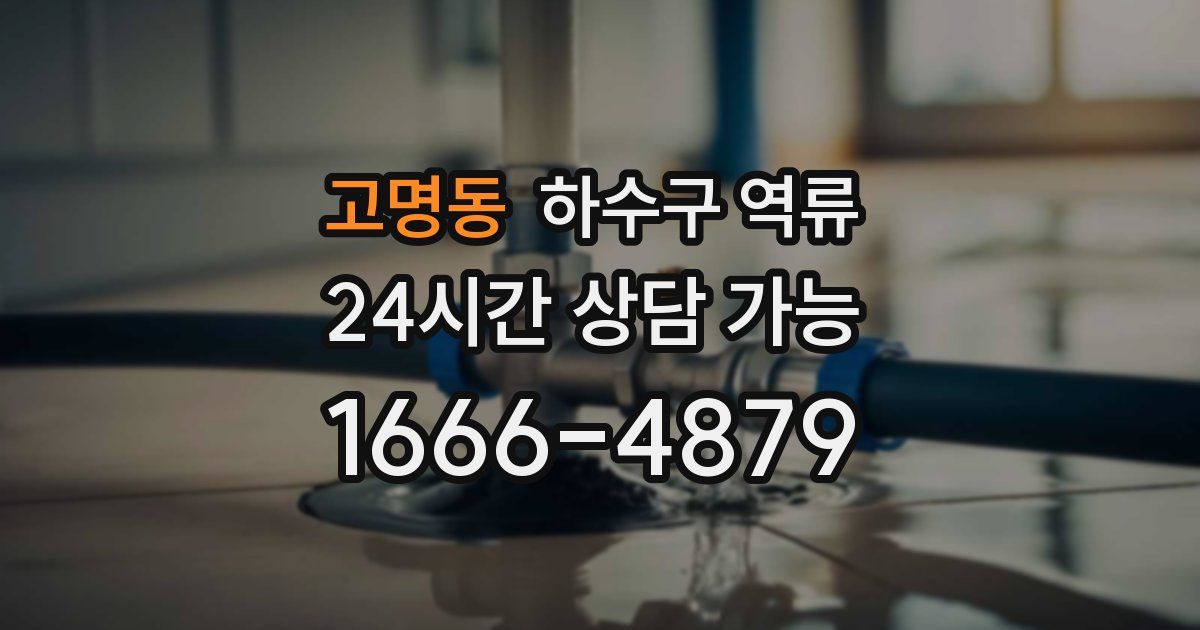 고명동 하수구 역류