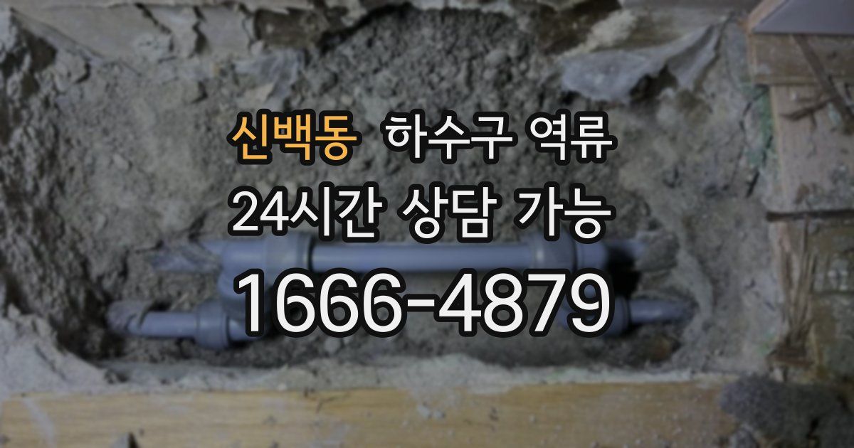 신백동 하수구 역류