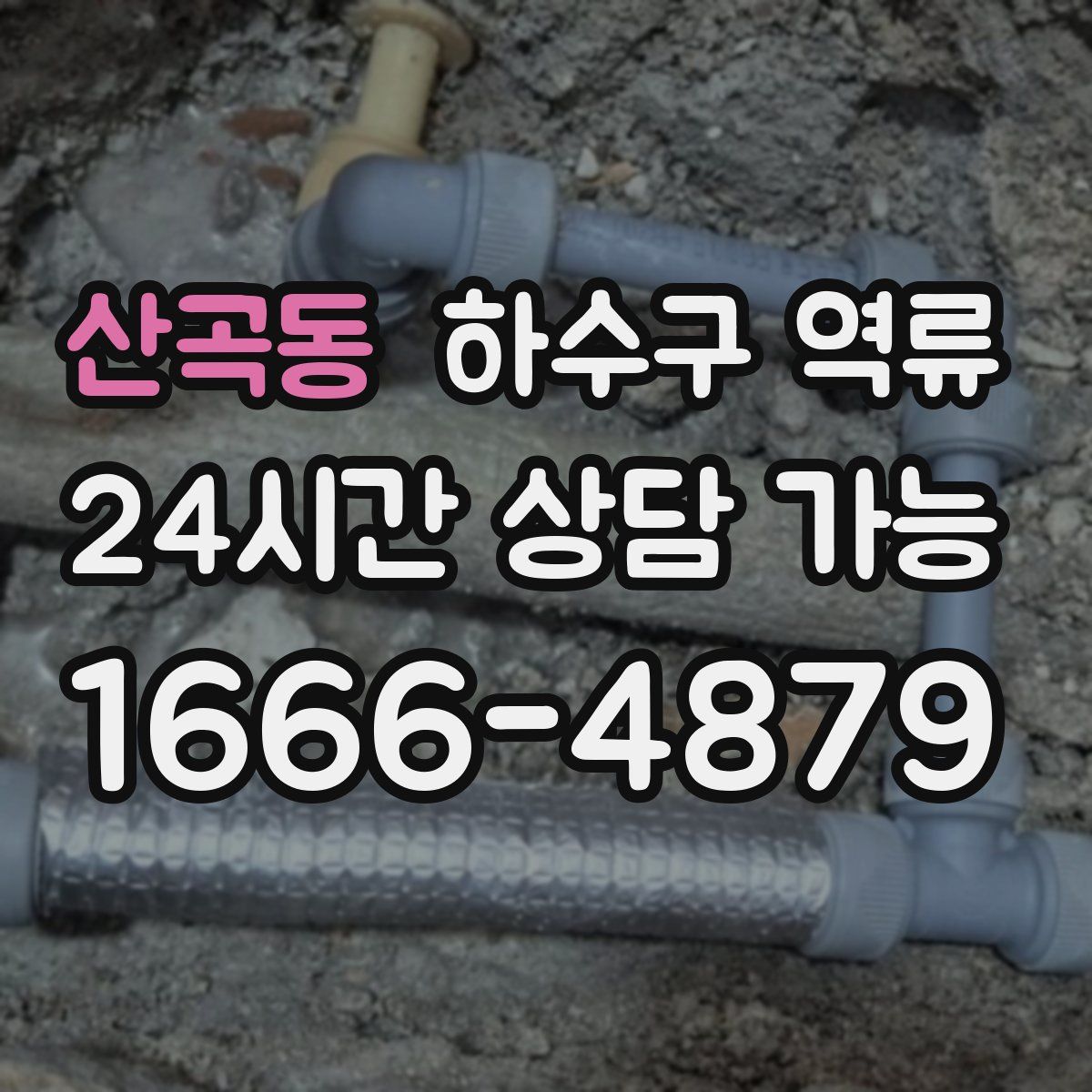 산곡동 하수구 역류