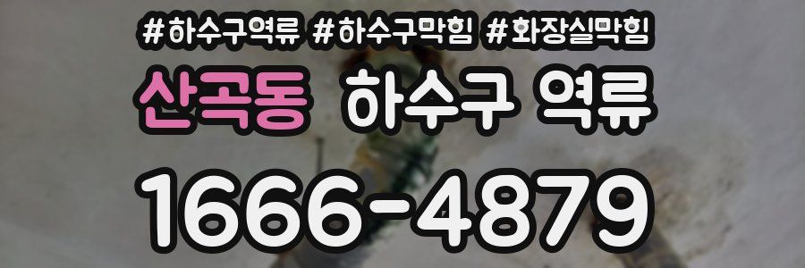 산곡동 하수구 역류