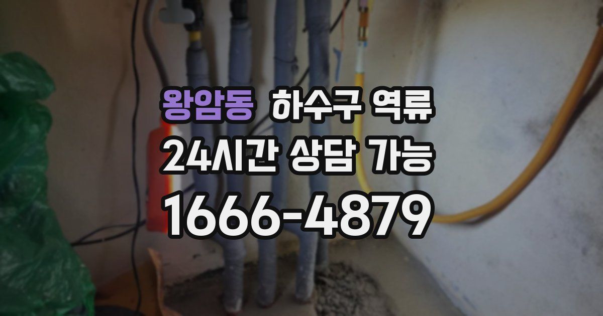 왕암동 하수구 역류