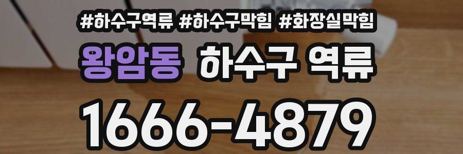 왕암동 하수구 역류