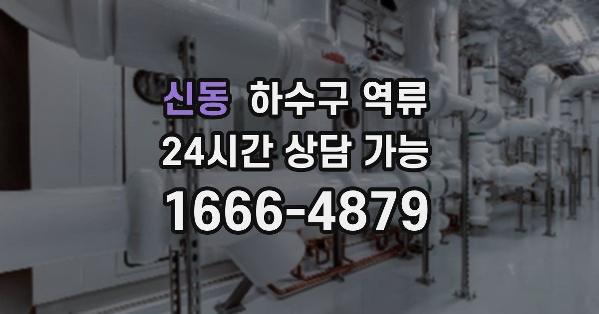 신동 하수구 역류