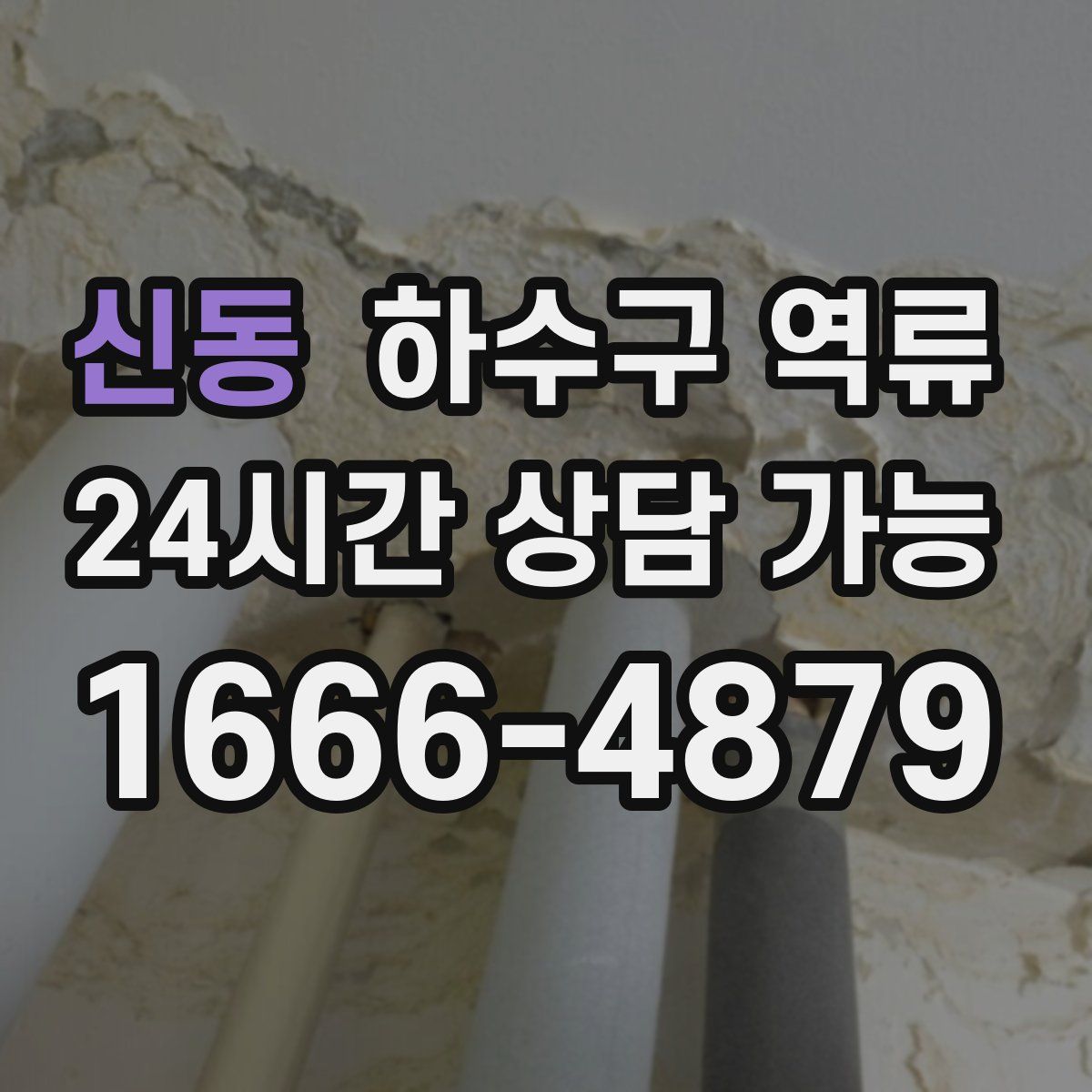 신동 하수구 역류