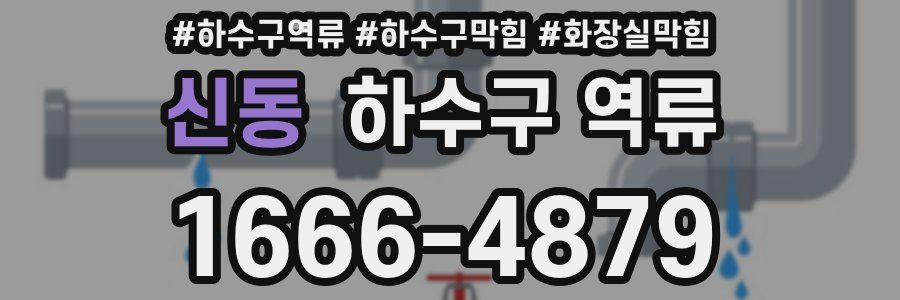 신동 하수구 역류