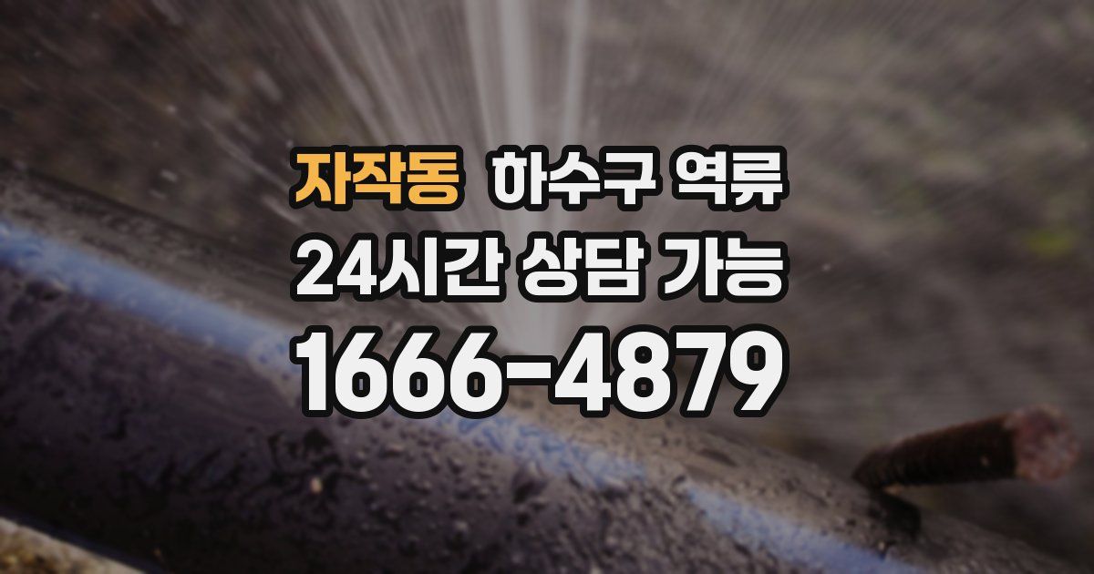 자작동 하수구 역류